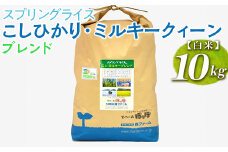 スプリングライス こしひかり・ミルキークィーン ブレンド (白米)10kg ※着日指定不可 | 米 こめ コメ 10キロ 精米 白米  ブレンド米 こしひかり コシヒカリ ミルキークイーン みるきーくいーん もちもち 古河市産 茨城県産 取り寄せ お取り寄せ ギフト 贈答 贈り物 プレゼント お中元 お歳暮 茨城県 古河市 直送 農家直送 産地直送 送料無料 _BI28