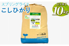スプリングライス こしひかり (白米)10kg ※着日指定不可 | 米 こめ コメ 10キロ 精米 白米 こしひかり コシヒカリ 古河市産 茨城県産 取り寄せ お取り寄せ ギフト 贈答 贈り物 プレゼント お中元 お歳暮 茨城県 古河市 直送 農家直送 産地直送 送料無料 _BI26
