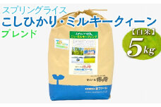 スプリングライス こしひかり・ミルキークィーン ブレンド (白米)5kg ※着日指定不可 | 米 こめ コメ 5キロ 精米 白米  ブレンド米 こしひかり コシヒカリ ミルキークイーン みるきーくいーん もちもち 古河市産 茨城県産 取り寄せ お取り寄せ ギフト 贈答 贈り物 プレゼント お中元 お歳暮 茨城県 古河市 直送 農家直送 産地直送 送料無料_BI27