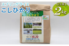 スプリングライス こしひかり (白米)2kg ※着日指定不可 | 米 こめ コメ 2キロ 精米 白米 こしひかり コシヒカリ 古河市産 茨城県産 取り寄せ お取り寄せ ギフト 贈答 贈り物 プレゼント お中元 お歳暮 茨城県 古河市 直送 農家直送 産地直送 送料無料 _BI24