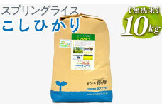スプリングライス こしひかり (無洗米)10kg ※着日指定不可 | 米 こめ コメ 10キロ 無洗米 白米 こしひかり コシヒカリ 古河市産 茨城県産 取り寄せ お取り寄せ ギフト 贈答 贈り物 プレゼント お中元 お歳暮 茨城県 古河市 直送 農家直送 産地直送 送料無料 _BI40