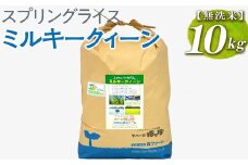 スプリングライス ミルキークィーン (無洗米)10kg ※着日指定不可 | 米 こめ コメ 10キロ 無洗米 白米 ミルキークイーン みるきーくいーん 古河市産 茨城県産 取り寄せ お取り寄せ ギフト 贈答 贈り物 プレゼント お中元 お歳暮 茨城県 古河市 直送 農家直送 産地直送 送料無料 _BI37