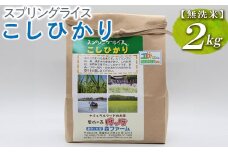 スプリングライス こしひかり (無洗米)2kg ※着日指定不可 | 米 こめ コメ 2キロ 無洗米 白米 こしひかり コシヒカリ 古河市産 茨城県産 取り寄せ お取り寄せ ギフト 贈答 贈り物 プレゼント お中元 お歳暮 茨城県 古河市 直送 農家直送 産地直送 送料無料 _BI38
