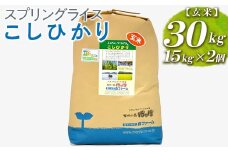 スプリングライス こしひかり (玄米)30kg(15kg×2個) ※着日指定不可 | 米 こめ コメ 30キロ 玄米 こしひかり コシヒカリ 古河市産 茨城県産 取り寄せ お取り寄せ ギフト 贈答 贈り物 プレゼント お中元 お歳暮 茨城県 古河市 直送 農家直送 産地直送 送料無料 _BI68