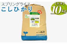 スプリングライス こしひかり (玄米)10kg ※着日指定不可 | 米 こめ コメ 10キロ 玄米 こしひかり コシヒカリ 古河市産 茨城県産 取り寄せ お取り寄せ ギフト 贈答 贈り物 プレゼント お中元 お歳暮 茨城県 古河市 直送 農家直送 産地直送 送料無料 _BI67