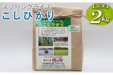 スプリングライス こしひかり (玄米)2kg ※着日指定不可 | 米 こめ コメ 2キロ 玄米 こしひかり コシヒカリ 古河市産 茨城県産 取り寄せ お取り寄せ ギフト 贈答 贈り物 プレゼント お中元 お歳暮 茨城県 古河市 直送 農家直送 産地直送 送料無料 _BI65