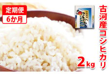【定期便 6か月】令和6年産 古河市産コシヒカリ 2kg | 単一米 国産 米 こめ コメ 2キロ 定期便 こしひかり コシヒカリ 古河市産 茨城県産 贈答 贈り物 プレゼント 茨城県 古河市 直送 産地直送 送料無料  _DP29