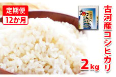 【定期便 12か月】令和6年産 古河市産コシヒカリ 2kg | 米 こめ コメ こしひかり 単一米 国産 2キロ 定期便 こしひかり コシヒカリ 古河市産 茨城県産 贈答 贈り物 プレゼント 茨城県 古河市 直送 産地直送 送料無料 _DP30