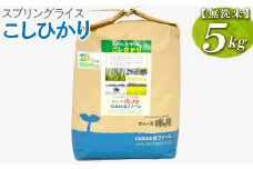 スプリングライス こしひかり (無洗米)5kg | 米 こめ コメ 5キロ 無洗米 白米 こしひかり コシヒカリ 古河市産 茨城県産  取り寄せ お取り寄せ ギフト 贈答 贈り物 プレゼント お中元 お歳暮 茨城県 古河市 直送 農家直送 産地直送 送料無料 _BI39
