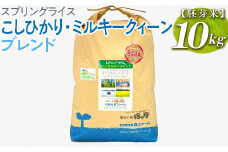 スプリングライス こしひかり・ミルキークィーン ブレンド (胚芽米)10kg | 米 こめ コメ 10キロ 胚芽米 ブレンド米 こしひかり コシヒカリ ミルキークイーン みるきーくいーん もちもち 古河市産 茨城県産 取り寄せ お取り寄せ ギフト 贈答 贈り物 プレゼント お中元 お歳暮 茨城県 古河市 直送 農家直送 産地直送 送料無料 _BI52