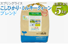 スプリングライス こしひかり・ミルキークィーン ブレンド (胚芽米)5kg | 米 こめ コメ 5キロ 胚芽米 ブレンド米 こしひかり コシヒカリ ミルキークイーン みるきーくいーん もちもち 古河市産 茨城県産 取り寄せ お取り寄せ ギフト 贈答 贈り物 プレゼント お中元 お歳暮 茨城県 古河市 直送 農家直送 産地直送 送料無料 _BI51