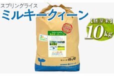 スプリングライス ミルキークィーン (胚芽米)10kg | 米 こめ コメ 10キロ 胚芽米 ミルキークイーン みるきーくいーん 古河市産 茨城県産 取り寄せ お取り寄せ ギフト 贈答 贈り物 プレゼント お中元 お歳暮 茨城県 古河市 直送 農家直送 産地直送 送料無料 _BI48