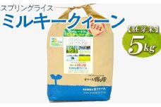 スプリングライス ミルキークィーン (胚芽米) 5kg | 米 こめ コメ 5キロ 胚芽米 ミルキークイーン みるきーくいーん 古河市産 茨城県産 取り寄せ お取り寄せ ギフト 贈答 贈り物 プレゼント お中元 お歳暮 茨城県 古河市 直送 農家直送 産地直送 送料無料 _BI47