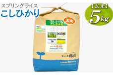 スプリングライス こしひかり (玄米)5kg | 米 こめ コメ 5キロ 玄米 こしひかり コシヒカリ 古河市産 茨城県産 取り寄せ お取り寄せ ギフト 贈答 贈り物 プレゼント お中元 お歳暮 茨城県 古河市 直送 農家直送 産地直送 送料無料 _BI66