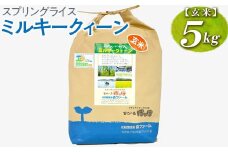 スプリングライス ミルキークィーン (玄米) 5kg | 米 こめ コメ 5キロ  玄米 ミルキークイーン みるきーくいーん 古河市産 茨城県産 取り寄せ お取り寄せ ギフト 贈答 贈り物 プレゼント お中元 お歳暮 茨城県 古河市 直送 農家直送 産地直送 送料無料 _BI62