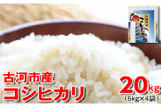 令和6年産 古河市産 コシヒカリ 20kg（5kg×4袋）| 米 こめ コメ 20キロ 精米 こしひかり 単一米 国産 古河市産 茨城県産 贈答 贈り物 プレゼント 茨城県 古河市 直送 農家直送 産地直送 着日指定可 ギフト お祝 ご褒美 取り寄せ お取り寄せ 記念品 景品 _DP24