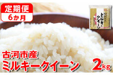 【定期便 6か月】令和6年産 古河市産ミルキークイーン 2kg◇ | 米 こめ コメ 2キロ 定期便 精米 みるきーくいーん ミルキー 単一米 国産 古河市産 茨城県産 贈答 贈り物 プレゼント 茨城県 古河市 直送 農家直送 産地直送 送料無料  _DP32