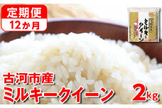 【定期便 12か月】令和6年産 古河市産ミルキークイーン 2kg ｜ 米 こめ コメ 2キロ 定期便 ミルキークイーン みるきーくいーん 古河市産 茨城県産 贈答 贈り物 プレゼント 茨城県 古河市 直送 産地直送 _DP33
