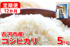 【定期便 12か月】令和6年産 古河市産コシヒカリ 5kg◇ | 米 こめ コメ 5キロ 定期便 精米 こしひかり  単一米 国産 古河市産 茨城県産 贈答 贈り物 プレゼント 茨城県 古河市 直送 農家直送 産地直送 送料無料 _DP36