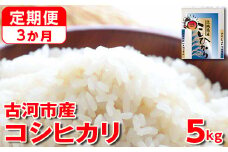 【定期便 3か月】令和6年産 古河市産コシヒカリ 5kg◇ | 米 こめ コメ 5キロ 定期便 精米 こしひかり 単一米 国産 古河市産 茨城県産 贈答 贈り物 プレゼント 茨城県 古河市 直送 農家直送 産地直送 送料無料 _DP34