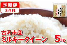 【定期便 3か月】令和6年産 古河市産ミルキークイーン 5kg◇ | 米 こめ コメ 5キロ 定期便 精米 みるきーくいーん ミルキー 単一米 国産 古河市産 茨城県産 贈答 贈り物 プレゼント 茨城県 古河市 直送 農家直送 産地直送 送料無料 _DP37