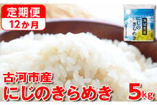 【定期便 12か月】令和6年産 古河市産にじのきらめき 5kg | 米 こめ コメ 5キロ 定期便 精米 にじきら にじのきらめき 虹のきらめき 単一米 国産 古河市産 茨城県産 贈答 贈り物 プレゼント 茨城県 古河市 直送 農家直送 産地直送 送料無料 _DP42