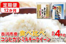 【定期便 12か月】令和6年産 古河市のお米食べ比べ コシヒカリ・ミルキークイーン 2kg×2種類◇｜米 コメ こめ ごはん ご飯 ゴハン 白飯 単一米 国産 コシヒカリ こしひかり ミルキークイーン 食べ比べ 2kg×2 4kg 定期便 12ヶ月 12回 1年 茨城県_DP51