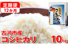 【定期便 12か月】令和6年産 古河市産コシヒカリ 10kg（5kg×2袋）◇｜米 コメ こめ ごはん ご飯 ゴハン 白飯 単一米 国産 コシヒカリ こしひかり 10kg 定期便 12ヶ月 12回 1年 茨城県 古河市_DP45