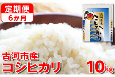 【定期便 6か月】令和6年産 古河市産コシヒカリ 10kg（5kg×2袋）◇｜米 コメ こめ ごはん ご飯 ゴハン 白飯 単一米 国産 コシヒカリ こしひかり 10kg 定期便 6ヶ月 6回 茨城県 古河市_DP44