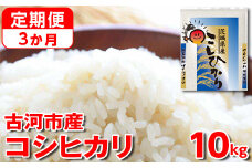 【定期便 3か月】令和6年産 古河市産コシヒカリ 10kg（5kg×2袋）◇｜米 コメ こめ ごはん ご飯 ゴハン 白飯 単一米 国産 コシヒカリ こしひかり 10kg 定期便 3ヶ月 3回 茨城県 古河市_DP43