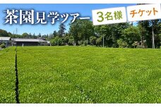 茶園見学ツアー3名様チケット | 体験 茶園 老舗 さしま茶 猿島茶 和紅茶 いずみ 吉田茶園 茨城県 古河市 関東 見学 ツアー チケット 3名 _BM07