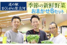 道の駅まくらがの里古河　季節の新鮮野菜おまかせBセット ※北海道・沖縄・離島への配送不可 |  野菜 おいしい 産地直送 新鮮 詰め合わせ 定期便 便利 簡単 手軽 やさい ヤサイ 茨城県 古河市 お楽しみ 野菜定期便 セット _BQ04