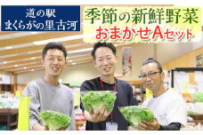 道の駅まくらがの里古河　季節の新鮮野菜おまかせAセット ※北海道・沖縄・離島への配送不可 |  野菜 おいしい 産地直送 新鮮 詰め合わせ 定期便 便利 簡単 手軽 やさい ヤサイ 茨城県 古河市 お楽しみ 野菜定期便 セット _BQ03