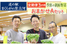 【定期便3か月】道の駅まくらがの里古河　季節の新鮮野菜おまかせAセット ※北海道・沖縄・離島への配送不可 |  野菜 おいしい 産地直送 新鮮 詰め合わせ 定期便 便利 簡単 手軽 やさい ヤサイ 茨城県 古河市 お楽しみ 野菜定期便 セット _BQ05