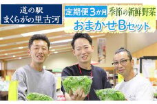 【定期便3か月】道の駅まくらがの里古河　季節の新鮮野菜おまかせBセット ※北海道・沖縄・離島への配送不可 | 野菜 おいしい 産地直送 新鮮 詰め合わせ 定期便 便利 簡単 手軽 やさい ヤサイ 茨城県 古河市 お楽しみ 野菜定期便 セット_BQ06