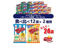 スナック 菓子 【マイクポップコーン】 2種類 食べ比べ◇ バラエティ（12袋×2種） 計24袋 バターしょうゆ味 キャラメル 詰め合わせ_DI32