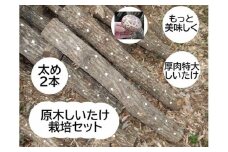 原木しいたけ栽培セット もっと美味しく、肉厚に BCEXL2 | きのこ 椎茸 しいたけ シイタケ 原木 栽培 キット 食物繊維 栄養 健康 食育 産地直送 茨城県 古河市 ※離島への配送不可 _DR07