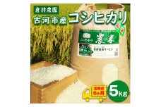 【定期便6か月】【新米】古河市産　コシヒカリ5kg【倉持農園】_AN09