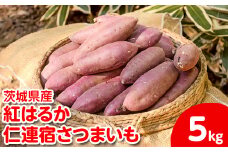 【2024年12月より順次発送】【サイズミックス】茨城県産紅はるか仁連宿さつまいも5kg ｜ さつまいも 薩摩芋 いも 芋 野菜 健康 ヘルシー おやつ スイーツ 食物繊維 生芋 生いも 国産 ギフト 贈答 贈り物 プレゼント 農家直送 産地直送 茨城県 古河市 _FP01