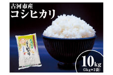 令和6年産 10kg 関東平野で育った古河市産コシヒカリ 10kg (5kg×2袋) ※北海道・沖縄・離島への配送不可 | こめ 米 コメ こしひかり 10キロ 古河市産 茨城県産 単一米 国産 ギフト 贈答 贈り物 プレゼント お祝 ご褒美 記念日 景品 白米 精米 ご飯 _DG02