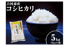 令和6年産 5kg 関東平野で育った古河市産コシヒカリ 5kg (5kg×1袋) ※北海道・沖縄・離島への配送不可 | こめ 米 コメ こしひかり 5キロ 古河市産 茨城県産 単一米 国産 ご飯 白米 精米 ギフト 贈答 贈り物 プレゼント お祝 ご褒美 記念日 景品 _DG03