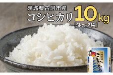 令和6年産 古河市のお米 コシヒカリ 10kg(5kg×2袋） ※着日指定可 | 米 こめ コメ 10キロ こしひかり コシヒカリ 古河市産 茨城県産 贈答 贈り物 プレゼント 茨城県 古河市 直送 産地直送 送料無料 着日指定可 着日指定OK _DP90