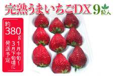 完熟うまいちごデラックス 9粒入 約380g｜いちご イチゴ 苺 フルーツ 果物 国産 茨城県産 完熟 甘い おいしい ギフト 贈答 贈り物 プレゼント お祝い ご褒美 家庭用 記念日 景品 380グラム ※2025年1月中旬～3月下旬頃に順次発送予定 _FR01