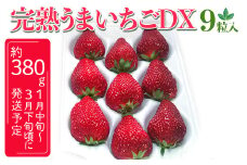 完熟うまいちごデラックス 9粒入 約380g｜いちご イチゴ 苺 フルーツ 果物 国産 茨城県産 完熟 甘い おいしい ギフト 贈答 贈り物 プレゼント お祝い ご褒美 家庭用 記念日 景品 380グラム ※2025年1月中旬～3月下旬頃に順次発送予定 _FR01