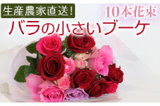 生産農家直送！バラの小さいブーケ 10本セット ※沖縄・離島への配送不可| バラ 薔薇 ばら 花束 花 ブーケ 家庭用 プチギフト 古河ブランド _AL05