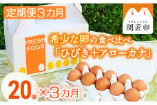 【定期便3か月】関匠卵　ひびき+アローカナハーフセット（計20個×3か月）｜卵 赤玉 アローカナ 青玉 セット 食べ比べ 詰合せ ギフト 贈答 プレゼント 栄養 生みたて 新鮮 生卵 数量限定 関養鶏場 茨城県 古河市 ※北海道・沖縄・離島への配送不可 _CP07