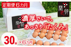 【定期便6か月】関匠卵 たくみ 30個×6か月｜卵 30個 赤玉 玉子 たまご 生卵 鶏卵 産みたて 新鮮 濃厚 健康 TKG たまごかけごはん ご飯のお供 国産 ギフト 贈答 贈り物 お中元 お歳暮 プレゼント 茨城県 古河市 農家直送 ※北海道・沖縄・離島への配送不可 _CP09