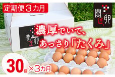 【定期便3か月】関匠卵 たくみ 30個×3か月｜卵 30個 赤玉 玉子 たまご 生卵 鶏卵 産みたて 新鮮 濃厚 健康 TKG たまごかけごはん ご飯のお供 国産 ギフト 贈答 贈り物 お中元 お歳暮 プレゼント 茨城県 古河市 農家直送 ※北海道・沖縄・離島への配送不可 _CP08