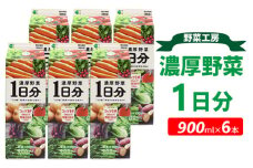 野菜工房 濃厚野菜1日 6分本 | 野菜 ドリンク ジュース 砂糖不使用 食塩不使用 朝食 野菜ジュース 飲みやすい 便利 手軽 おいしい 美味しい 茨城県 古河市 _DT13