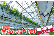古河市 空中いちご狩り チケット 大人2枚 ｜ いちご イチゴ 苺 いちご狩り 白いちご 食べ放題 ※2025年4月下旬頃より順次発送予定 _FV01